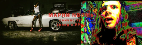 молекула духа Арсеньев