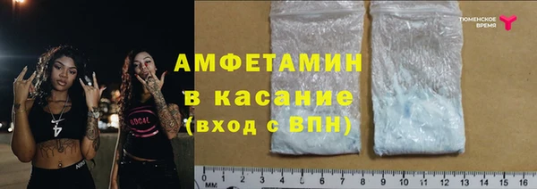 молекула духа Арсеньев