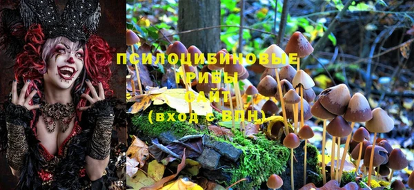 молекула духа Арсеньев
