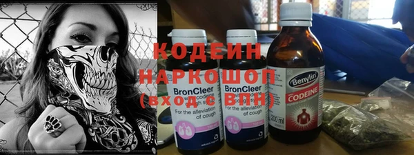 молекула духа Арсеньев