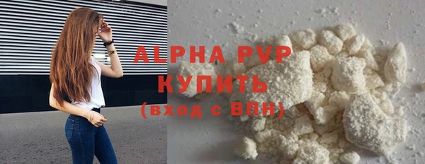 молекула духа Арсеньев