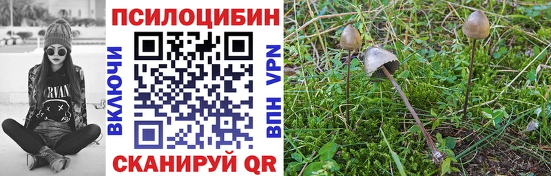 хочу наркоту  Обоянь  Псилоцибиновые грибы прущие грибы 